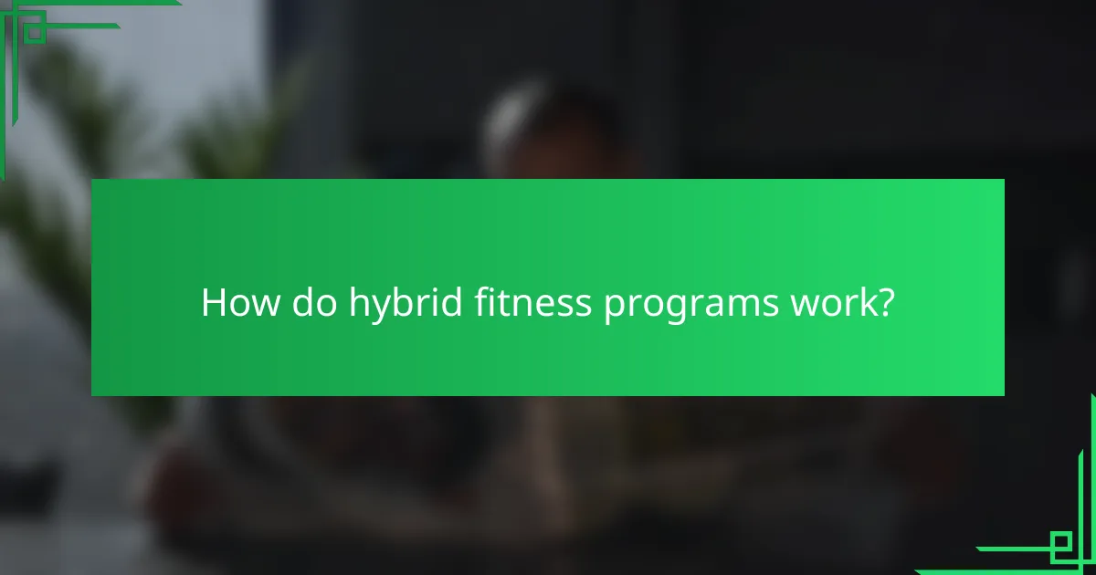 How do hybrid fitness programs work?