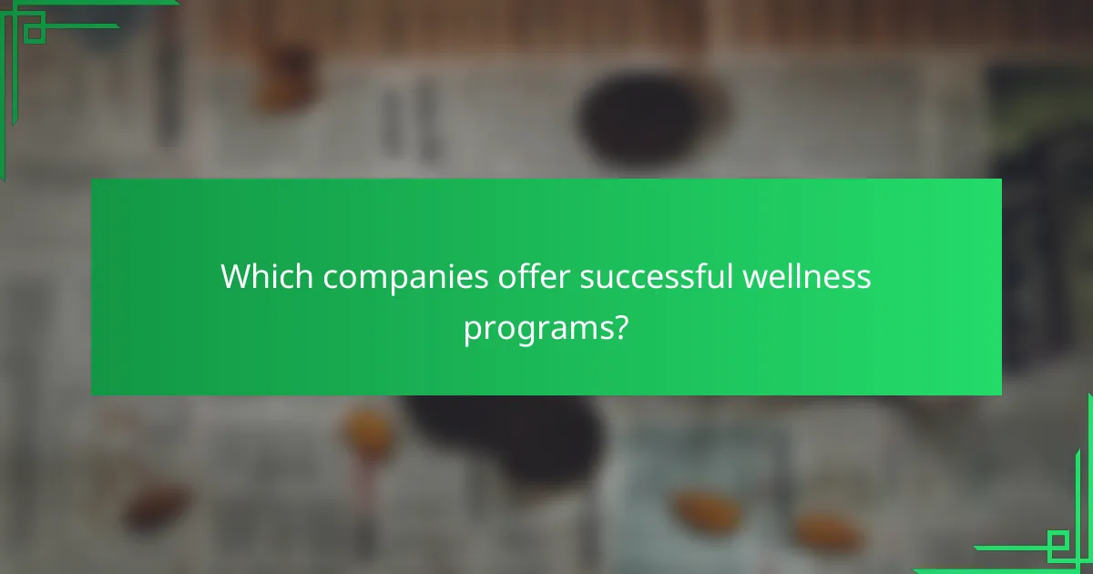 Which companies offer successful wellness programs?